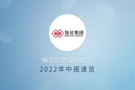 #中报#梅花生物#上市公司#投资者关系#投关易视频封面