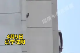 4月9日，辽宁沈阳。小区每天早晨总有噪音，居民以为是震楼器 正欲报警，结果出乎意料……#搞笑 视频封面