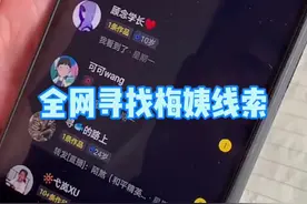 全网寻找梅姨的线索，希望能尽快找到其他被拐孩子。#全网寻找梅姨视频封面
