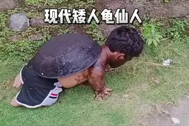 呀，这乌龟好黑呀，模仿黑乌龟的矮人到底有多矮？ #矮人 #奇人异事 #网红视频封面