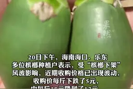 “槟榔下架”风波中的种植户：收购价下跌，种植5000棵槟榔或将损失20万元视频封面