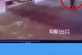 玩手机酿成了一场悲剧！视频封面
