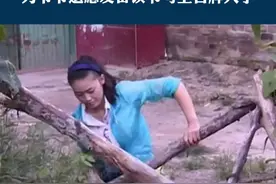 无腿女孩发奋攻读考上心仪大学，她说:“唯一遗憾爷爷没能亲眼看到她考上大学”。#感动 #励志 #正能量视频封面