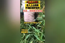 老人上山摘果不慎踩到野猪夹！村民、消防联合救援！视频封面