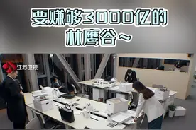 要赚够3000亿的 林鹰谷～ #闪闪发光的你 