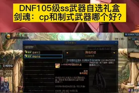 DNF圣域降临活动的105级史诗武器自选礼盒！剑魂选哪个？cp武器和制式武器哪个好！一看便知！#dnf #地下城与勇士 视频封面