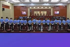 主犯胡某被判处有期徒刑二十三年，其他9名被告分别被判处一年一个月至二十年不等的有期徒刑。视频封面