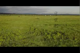 内蒙古公安厅原创歌曲MV《守望北疆》邀请著名歌手韩磊倾情献唱视频封面