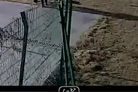 父子俩做聚光实验点燃2000平方米大草坪。孩子父亲：没想到会这样，给大家添麻烦了。视频封面