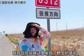 大西北的风沙肆虐，姐姐戴着头巾在黄土里独自忙活视频封面