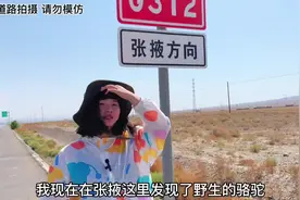 大西北的风沙肆虐，姐姐戴着头巾在黄土里独自忙活视频封面