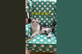 带泡芙去超市买了一堆东西 结果高估了自己家冰箱的容量……#原来家电还可以这样 #冰箱#冰箱收纳视频封面