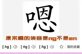 #嗯的读音是ng 我的输入法需要加强九年义务教育了😄