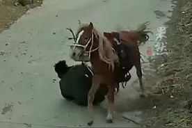 男子纵马驰骋拐弯时跌倒，然后马踢了主人一蹄子，绝尘而去。视频封面