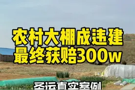 大棚拆迁最终获得300w补偿！@抖音短视频 #征地拆迁 #拆迁补偿 #拆迁律师视频封面