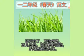 《春天》范文#一二年级下册语文 #小学作文 #看图写话视频封面