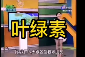 叶绿素视频封面