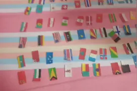 孙子自己画的世界国旗有不对的请指正谢谢视频封面