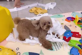 艾玛！！！可劲儿造吧啊，一个转身两个玩儿的不亦乐乎～😢视频封面