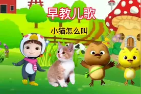 小猫怎么叫#儿歌 #启蒙早教 #育儿 #亲子教育 #儿歌100首最火