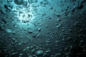 溺水究竟是一种什么感觉？溺水死亡痛苦吗