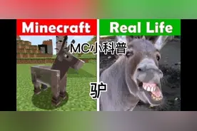 #我的世界 你真的知道驴的知识吗？我的世界驴的介绍