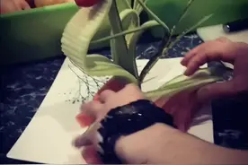 花式果盘制作教程，保证看一遍就会，点开我主页保证你喜欢，点赞关注一下吧每天更新视频封面