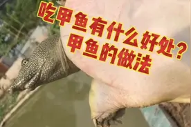 甲鱼浑身是宝，多吃甲鱼好处太多了！