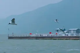 在滇池拍到了很多海鸥，晚上还迟到了溏心蛋😋