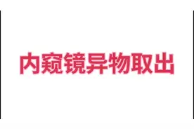 昨天做的，内窥镜取出戒指，小狗狗吃戒指。还有经常呕吐的