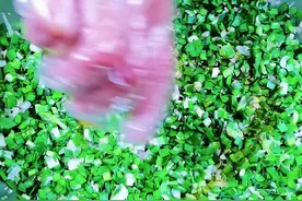 @抖音短视频 #水饺教程 这样做猪肉韭菜水饺馅，很多人都没有见过。建议收藏。视频封面