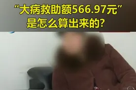 我的“大病救助额566.97元”，是怎么算出来的？准吗？@抖音短视频 #社保视频封面