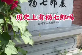 历史上有杨七郎吗#创作者扶持计划 #原创视频 #支持抖音传播正能量 #原创剪辑视频封面