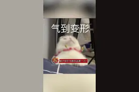 某夕回复砍价为何总差一刀，原来算到了小数点后6位数！ 百分之0.9其实是百分之0.9996427，这不纯纯拿俺们当大怨种嘛！！！视频封面