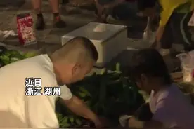 八岁女孩独自卖菜，卖到晚上9点回家给奶奶做饭，网友：懂事的让人心疼！@天中晚报 @驻马店网视频封面