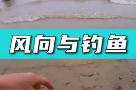 风向对钓鱼有何影响，如何根据风向选择钓位？#2022dou来钓鱼 #户外钓鱼  #钓位选择 #野钓技巧 #湖库野钓 #钓鱼技巧 视频封面