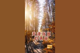 #再审 很难，能获得裁定指令再审的比例很低，这里替当事人开心 #抖来普法2022 #二审#监督 视频封面