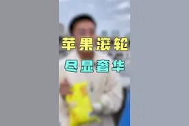 苹果公司的轮子你知道值多少钱吗？？？#苹果 #滚轮 #奢侈 #科技 