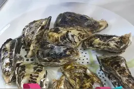 高压锅生蚝大战微波炉生蚝？到底哪个更好吃？#生蚝 #刺身美食 #微波炉生蚝