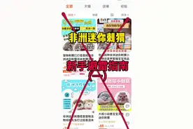 非迷新手避雷指南（一） 建议大家认真学习观看！#非洲迷你刺猬 #萌宠出道计划 #非洲迷你刺猬新手避雷指南 #非洲迷你刺猬饲养教程