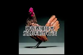 神奇的养殖技术，鸡粪消失了小鸡不生病，才能赚到钱