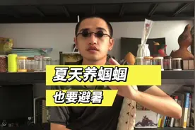 蝈蝈虽然是阳虫但是也不是无限的耐高温，夏天养蝈蝈也需要避暑视频封面