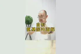 学农老王来啦！教你如何自制一种全营养氨基酸叶面肥！快收藏！视频封面