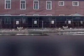 近日，黑龙江五常万宝中学学生家长反映学校床垫为泡沫板，专家称该材质本身无毒，但易燃且燃烧会产生有毒物质。