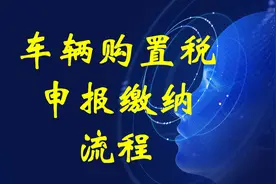 车辆购置税申报及缴纳 企业 或者个人车辆购置税申报 缴纳流程视频封面