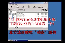 手机exagear《wine6.0体积缩小版+fix27d3d 使用方法》，由贴吧