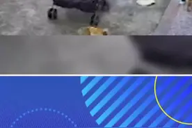 二胎妹妹掉下婴儿车，妈妈看到后上来就斥责大宝，看完监控后却后悔不已···#监控下的一幕 #社会百态 #猝不及防 #瞬间戳中泪点 #家庭百态 视频封面