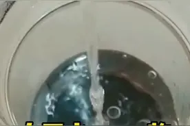 白开水加一物，一夜掉三斤视频封面