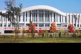 违规成立经营多家企业，齐齐哈尔市政府原秘书长齐晓彤被双开视频封面