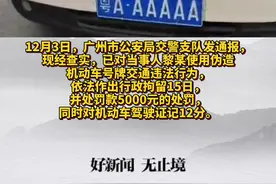 广州最牛车牌后续：“粤A·AAAAA”巡逻车当事人被拘15日 #广州视频封面